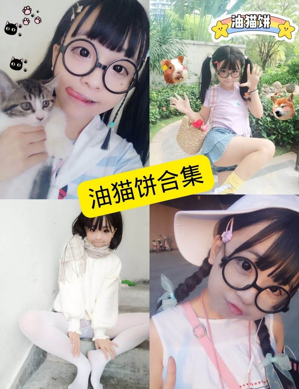 油猫饼写真合集