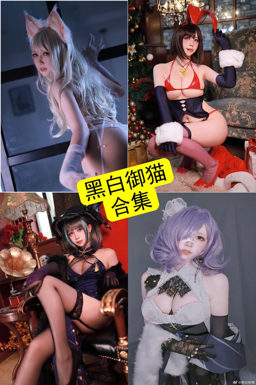 黑白御猫写真合集持续更新|作品风格解析与收藏指南 1 黑白御猫写真封面