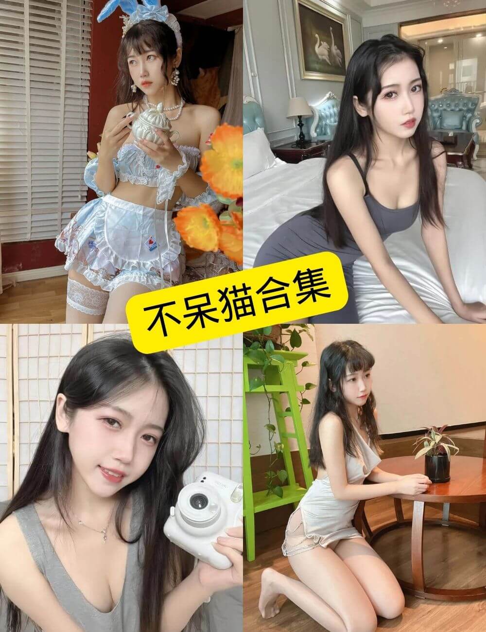 不呆猫写真合集持续更新:从Cosplay到纯欲风的收藏指南 1 不呆猫