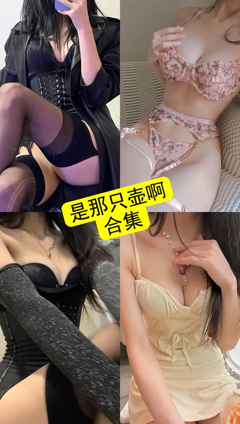 VIP会员